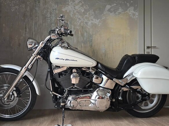 2004 Harley-Davidson Softail Deuce, белый, 990000 рублей - вид 4