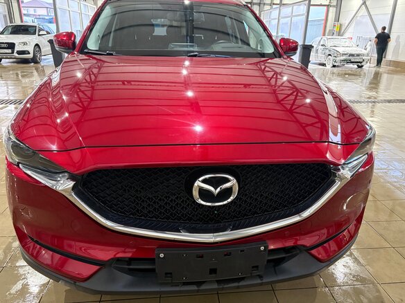2019 Mazda CX-5 II, красный, 2900000 рублей - вид 31