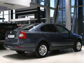 2009 Skoda Octavia II (A5) Рестайлинг, серый - вид 5