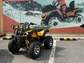 2026 Tiger Sport 250, чёрный, 237900 рублей