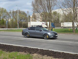 2019 Skoda Octavia III (A7) Рестайлинг, серый, 3000000 рублей, вид 5