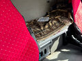 2011 DAF XF 105, белый, 1500000 рублей - вид 10