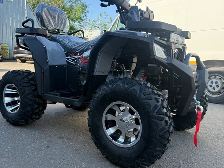 2025 Другие ATV (другие), синий, 165000 рублей, вид 4