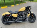 2018 Harley-Davidson Forty-Eight, бежевый, 1500000 рублей - вид 5