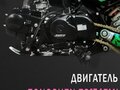 2024 BSE EX 125, зелёный, 70000 рублей - вид 8