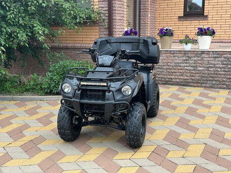 2020 Kawasaki KVF 300 Brute Force, чёрный, 550000 рублей, вид 1