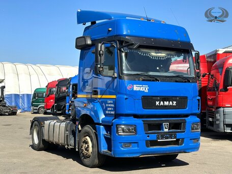 2020 КамАЗ 5490, синий, 3200000 рублей, вид 3