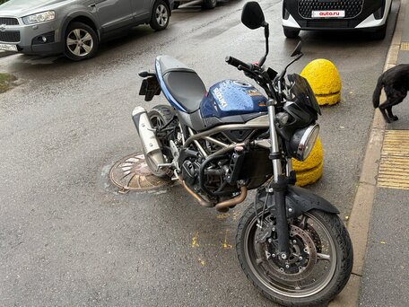 2023 Suzuki SV 650, синий, 599999 рублей, вид 4