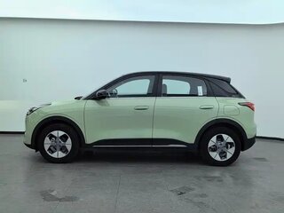 2025 Geely Geome Xingyuan 30.12 kWh, зелёный, 1600000 рублей, вид 5