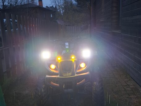 2015 Wels ATV 300, серебристый, 75000 рублей, вид 2