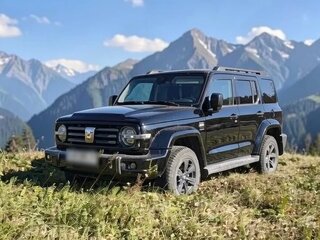 2023 Tank 300 I, чёрный, 3350000 рублей, вид 1