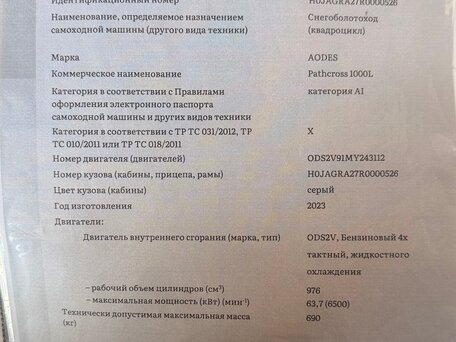 2023 AODES (Odes) Pathcross 1000L, серый, 1150000 рублей, вид 5