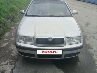 2006 Skoda Octavia I (A4) Рестайлинг, серый, 380000 рублей, вид 1