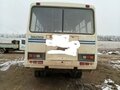 2005 ПАЗ 3206, белый, 387183 рублей - вид 5