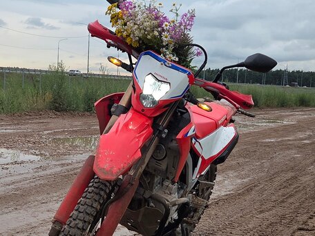 2023 Honda CRF 300L, красный, 700000 рублей, вид 3