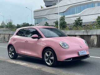 2023 Ora Good Cat 47.8 kWh I, розовый, 1310000 рублей, вид 2