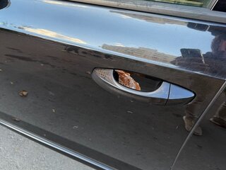 2016 Skoda Octavia III (A7), чёрный, 1695000 рублей, вид 4