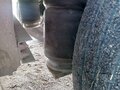 2007 Schmitz Cargobull SPR, серый, 850000 рублей - вид 4