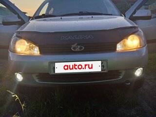 2013 Lada (ВАЗ) Kalina I, серебристый, 425000 рублей, вид 1