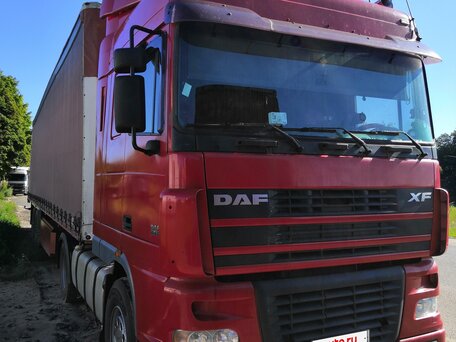 2003 DAF 95XF, красный, 2900000 рублей, вид 3