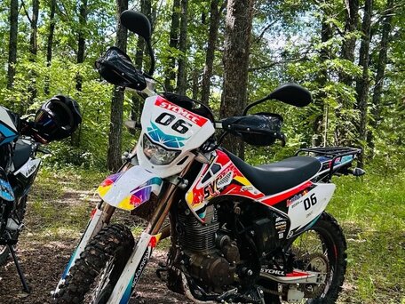 2024 Motoland FX250, белый, 150000 рублей, вид 3