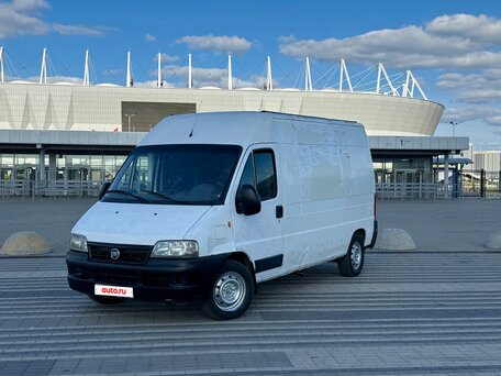 2008 Fiat Professional Ducato, белый, 650000 рублей, вид 1