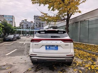 2021 Haval H6 II Рестайлинг, белый, 1370000 рублей, вид 5
