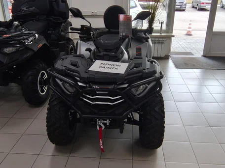 2026 Loncin XWolf 300 Max, серый, 485000 рублей, вид 1