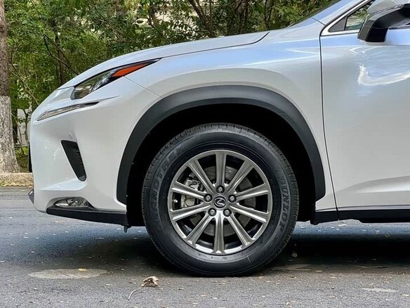 2020 Lexus NX 200 I Рестайлинг, белый, 2764000 рублей - вид 14