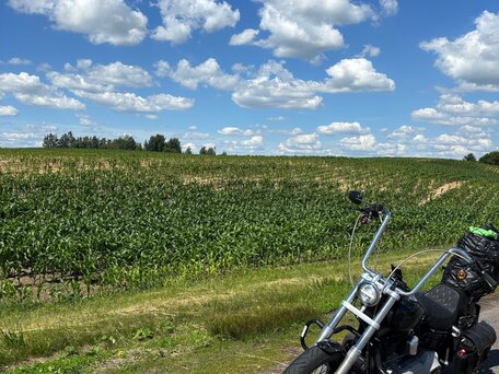 2008 Harley-Davidson Street Bob, чёрный, 650000 рублей, вид 3