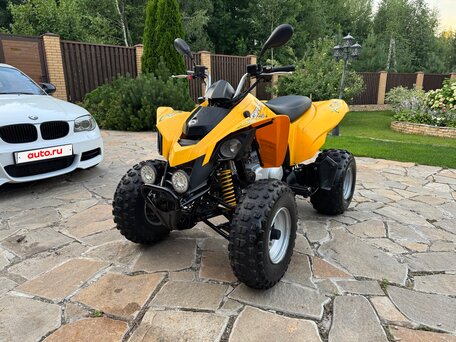 2008 BRP Can-Am DS 250, жёлтый, 329990 рублей, вид 1