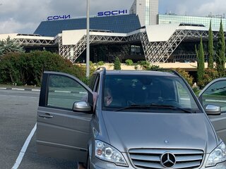 2011 Mercedes-Benz Viano L1 I (W639) Рестайлинг, серый, 1800000 рублей, вид 1