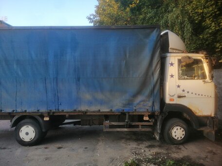 2004 МАЗ 4370, белый, 350000 рублей, вид 5