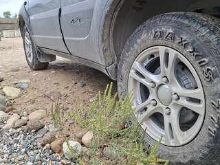 2011 Chevrolet Niva I Рестайлинг, серый, 600000 рублей, вид 5