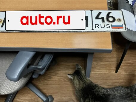 2005 МАЗ 6303, белый, 1250000 рублей, вид 5