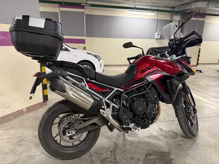 2024 Triumph Tiger 900, пурпурный, 1595000 рублей, вид 1