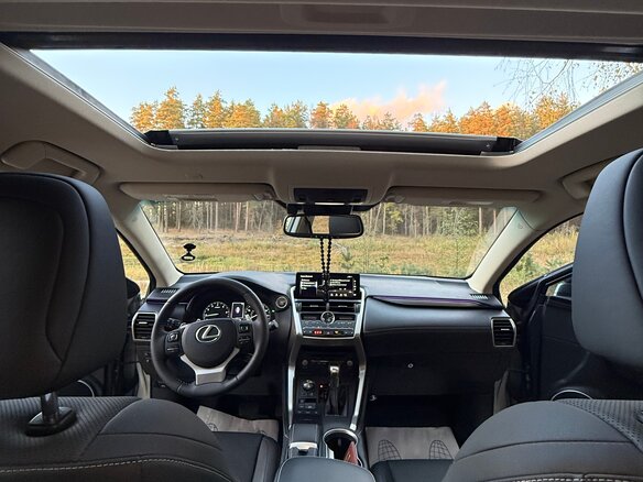 2018 Lexus NX 300 I Рестайлинг, серебристый, 3700000 рублей - вид 18