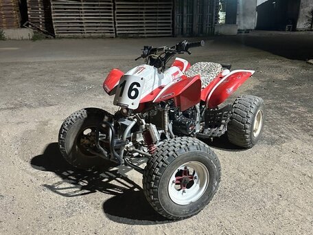 2013 Irbis ATV 250S, красный, 145000 рублей, вид 3