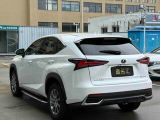 2021 Lexus NX 200 I Рестайлинг, белый, 3499666 рублей, вид 5