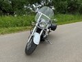 2009 Yamaha XVS650 Drag Star, белый, 550000 рублей