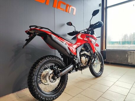 2026 Loncin DS250, красный, 258000 рублей, вид 5