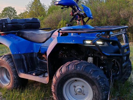 2023 Irbis ATV 200U, синий, 200000 рублей, вид 2