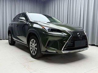 2020 Lexus NX 200 I Рестайлинг, чёрный, 2774000 рублей, вид 5
