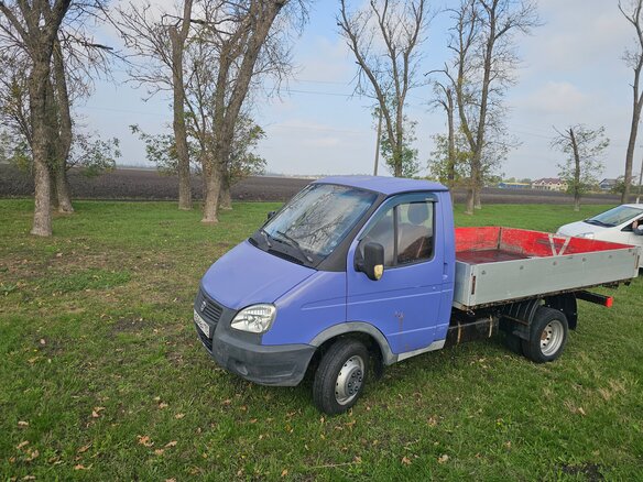 2007 ГАЗ ГАЗель (3302), синий, 650000 рублей