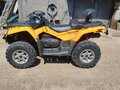 2010 BRP Can-Am Outlander 800, жёлтый, 699000 рублей - вид 6