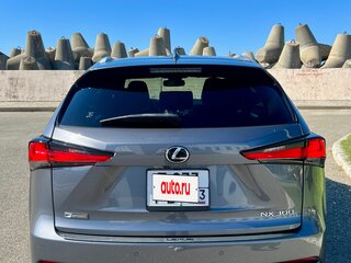 2020 Lexus NX 300 I Рестайлинг, серый, 4090000 рублей, вид 4