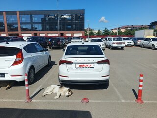 2021 Skoda Rapid II, белый, 920000 рублей, вид 3