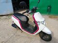 2018 Honda Dunk, белый, 120000 рублей - вид 10