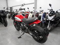 2016 Ducati Scrambler 800, красный, 540000 рублей - вид 5