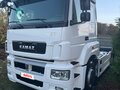2015 КамАЗ 5490 NEO, белый, 1200000 рублей - вид 1